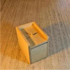 Spider box prank